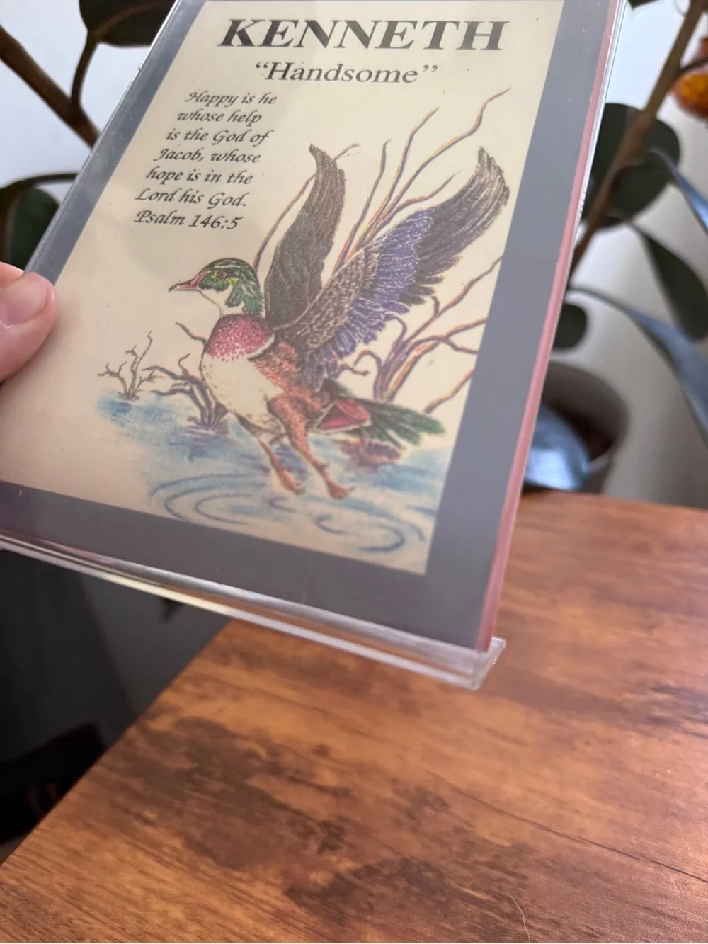 KENNETH ‘Handsome' Framed Duck Print - Multicolor
